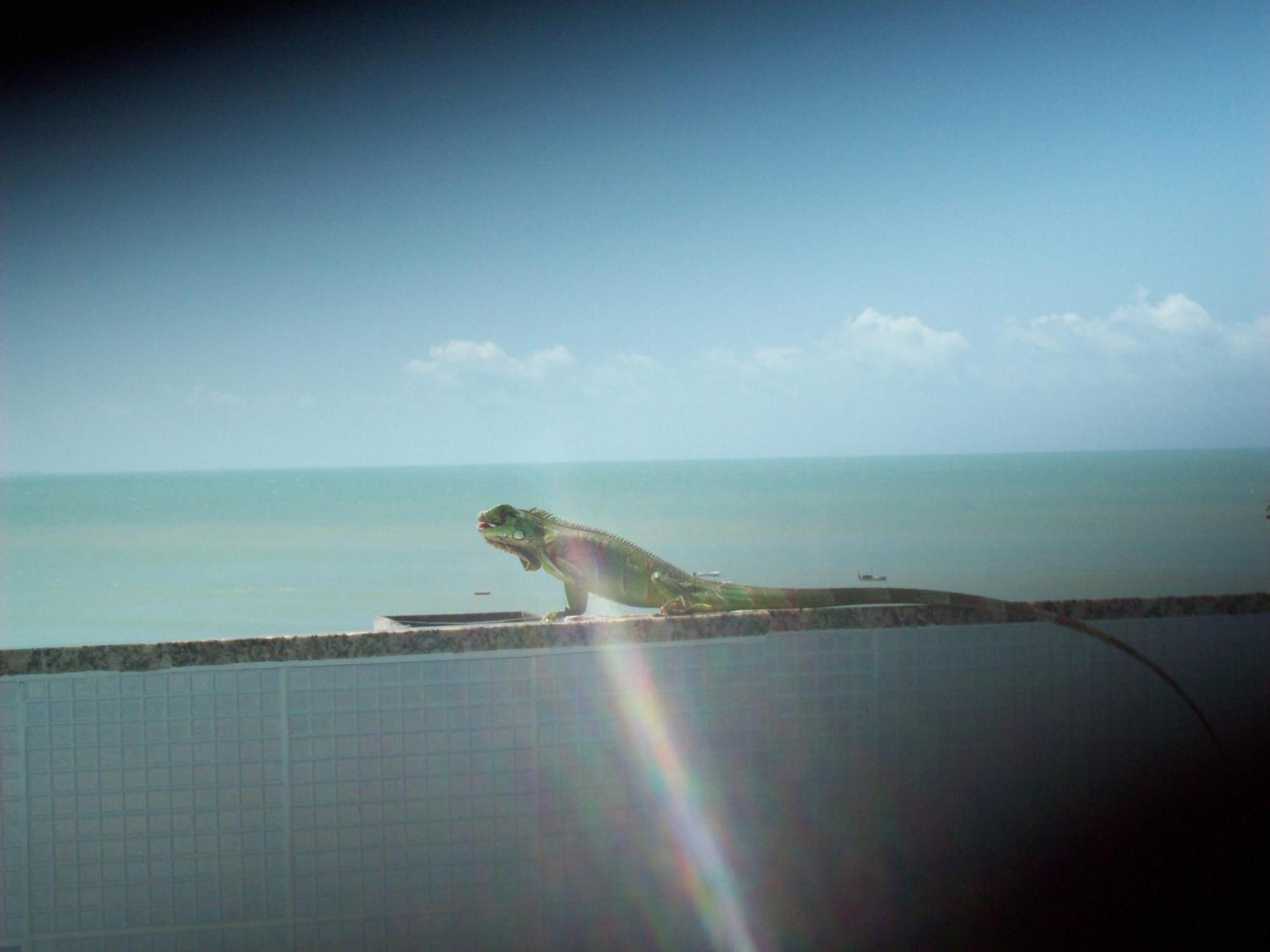 Hotel Pousada Estacao Do Sol Natal Exteriér fotografie